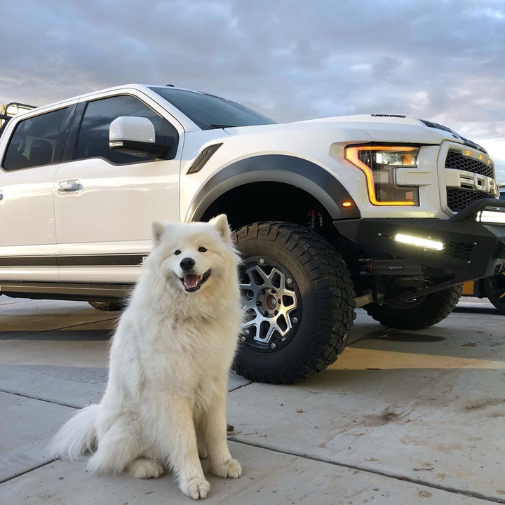 Ford Raptor