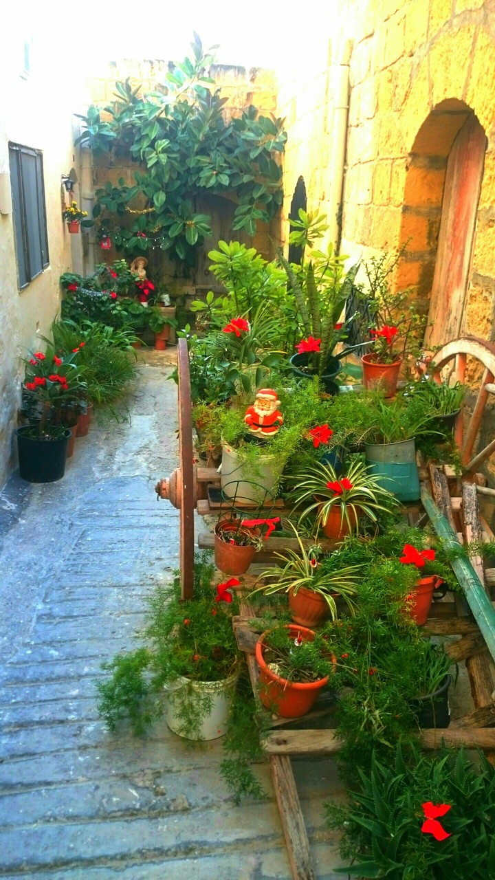 GOZO HOUSE GARDEN