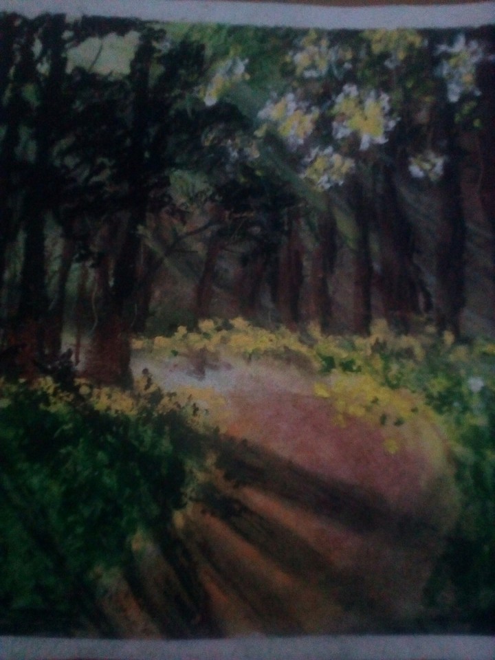ooooo so dark forest