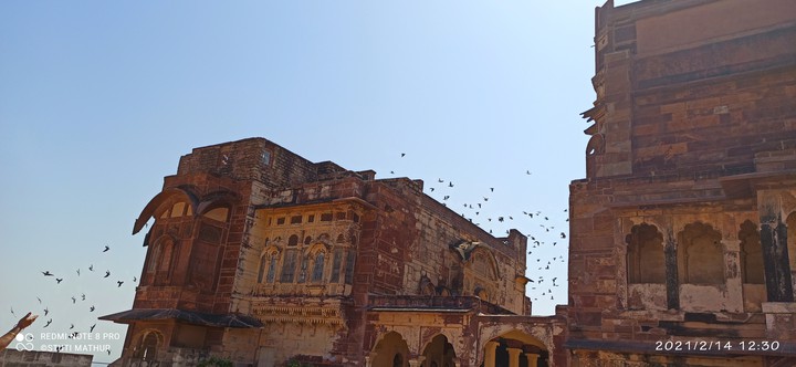 Flying through the windows of past