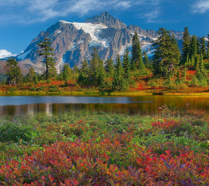 nature