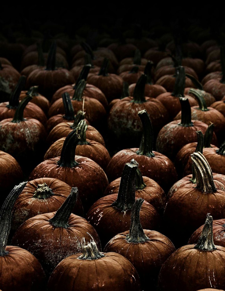 pumkins