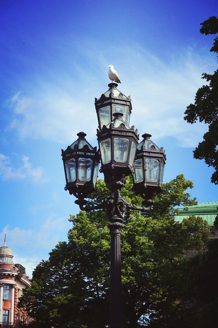 Saint Petersburg