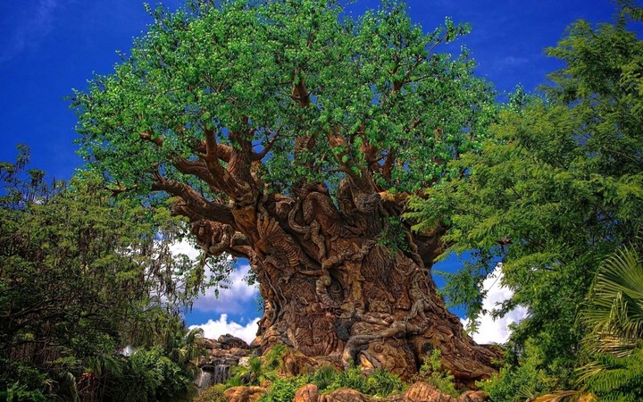 Disney's Animal Kingdom