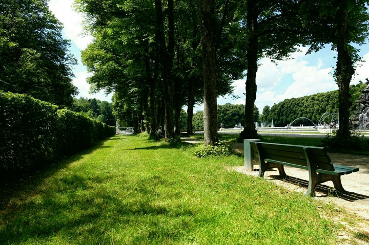 Sun in the park