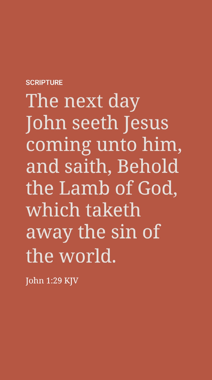 JOHN1V29