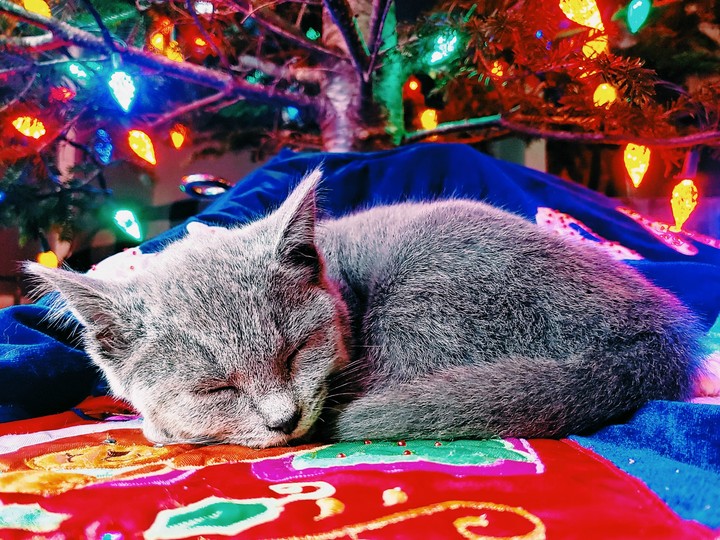 Stormi's 1st Christmas 2018