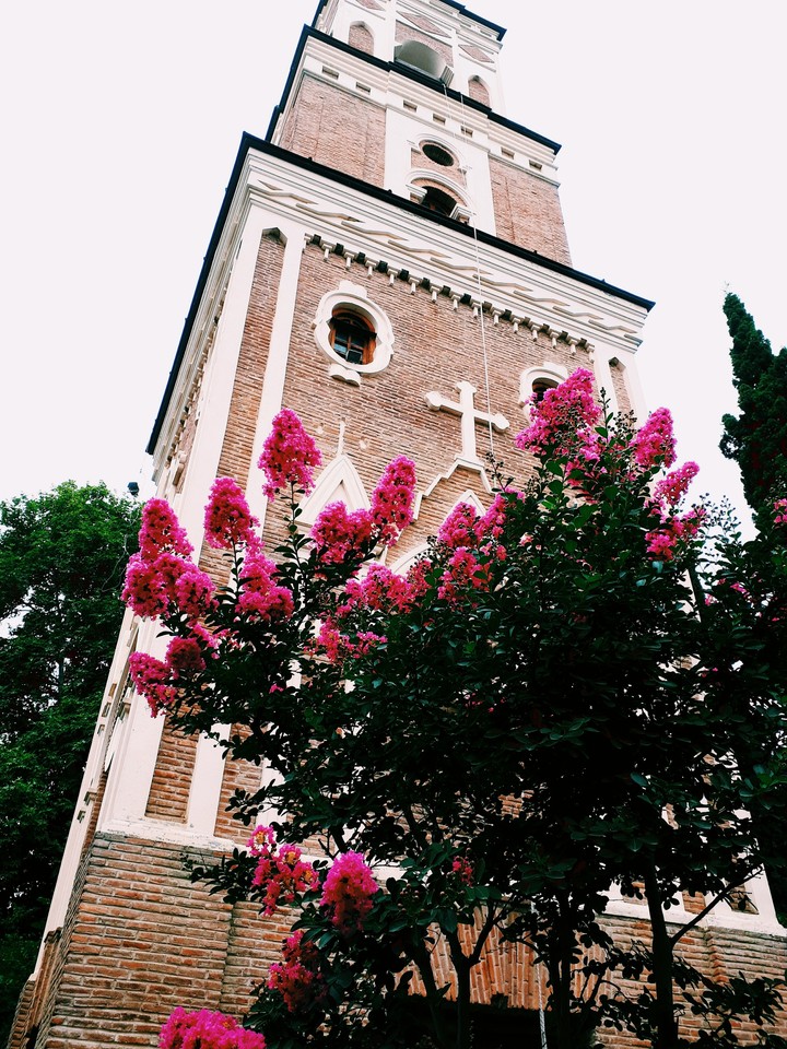 Signaghi