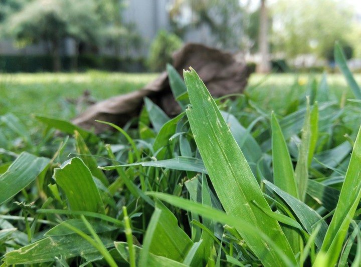 Nature of the India