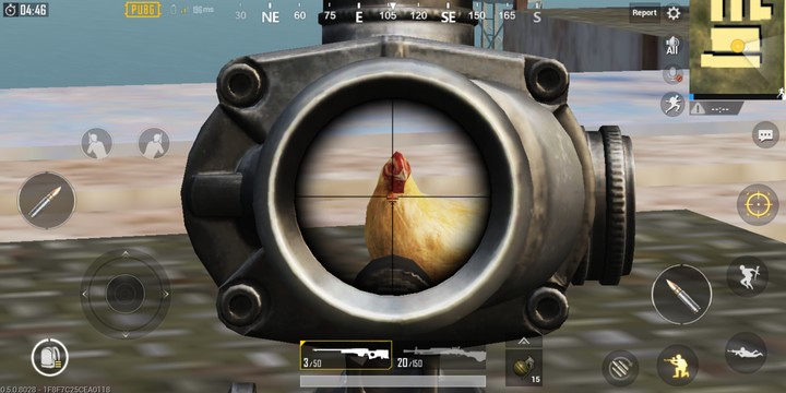 chicken_dinner