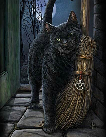 ~ Cat ~