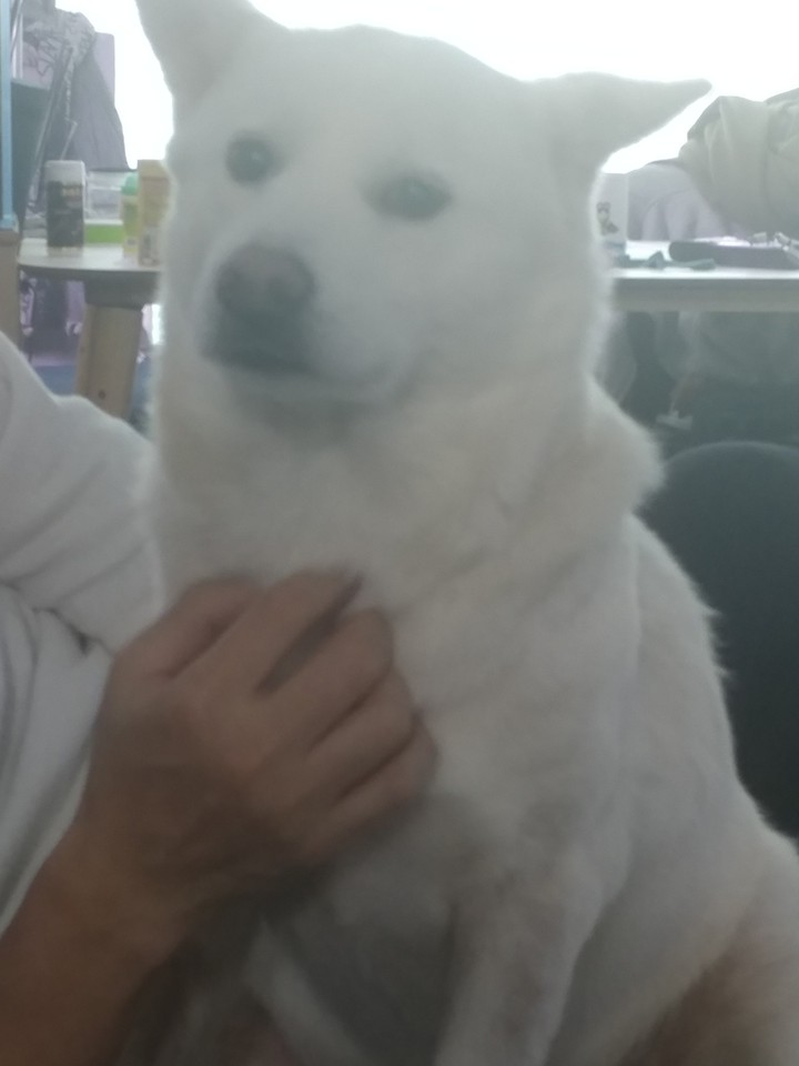 ㄹ