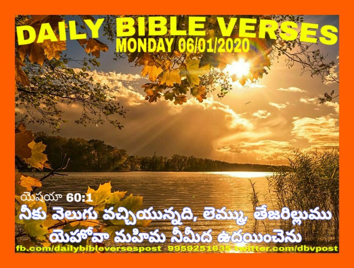 DAILY BIBLE VERSES