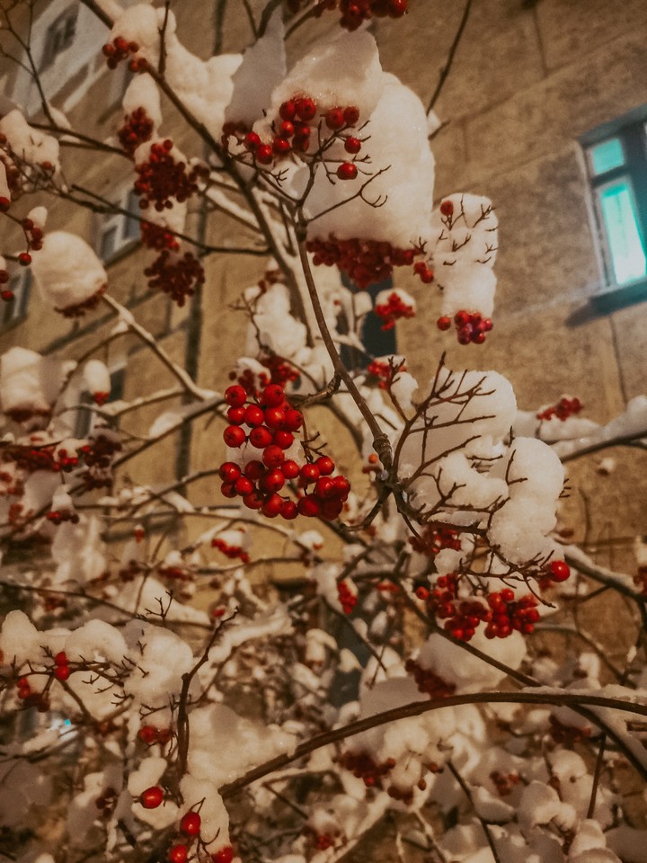 winter