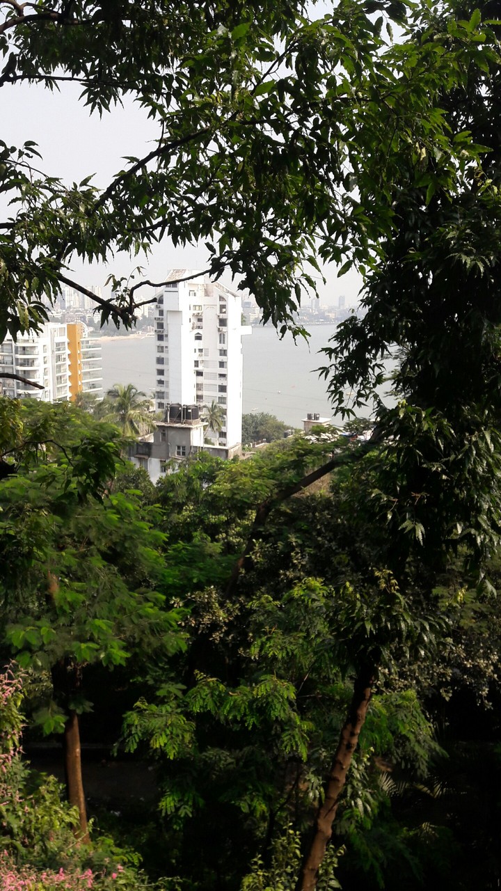 sea bank