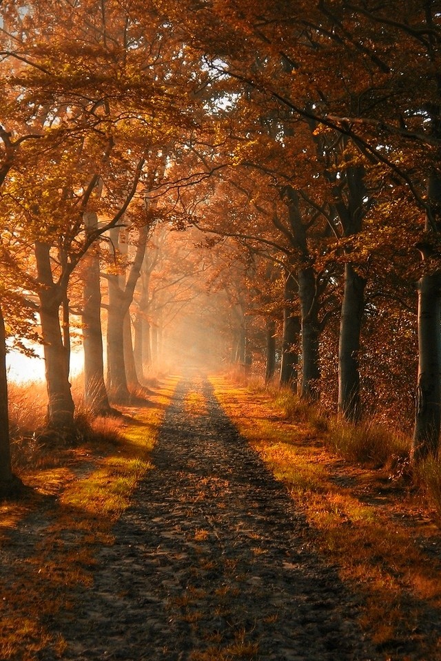 autumn