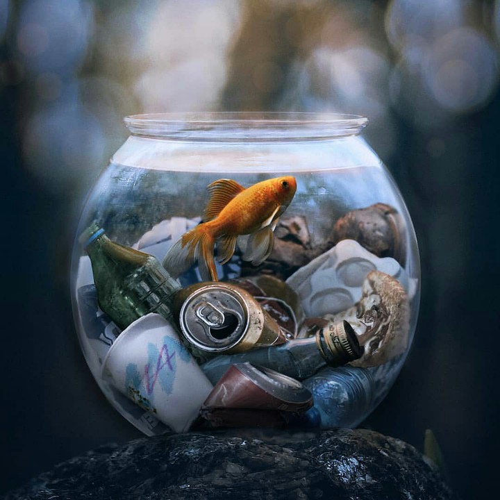 oceans imagine