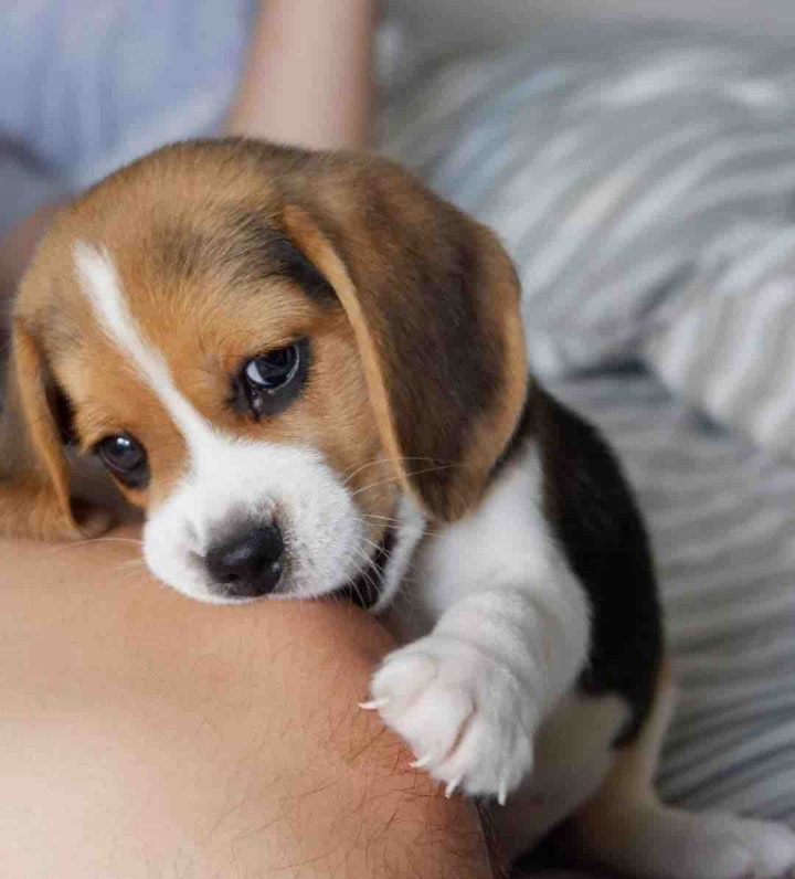 cute