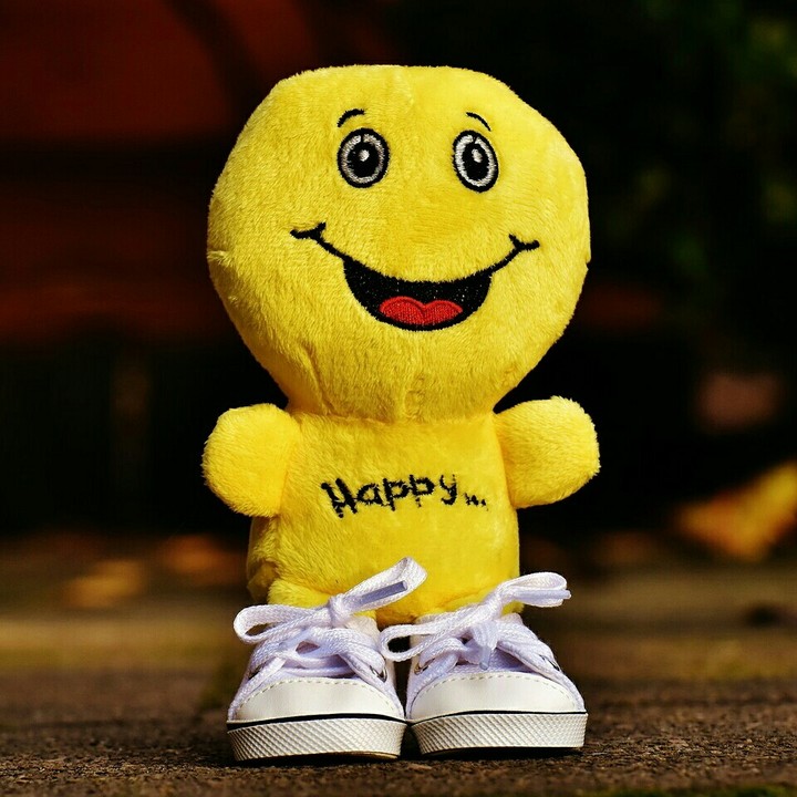 happy teddy