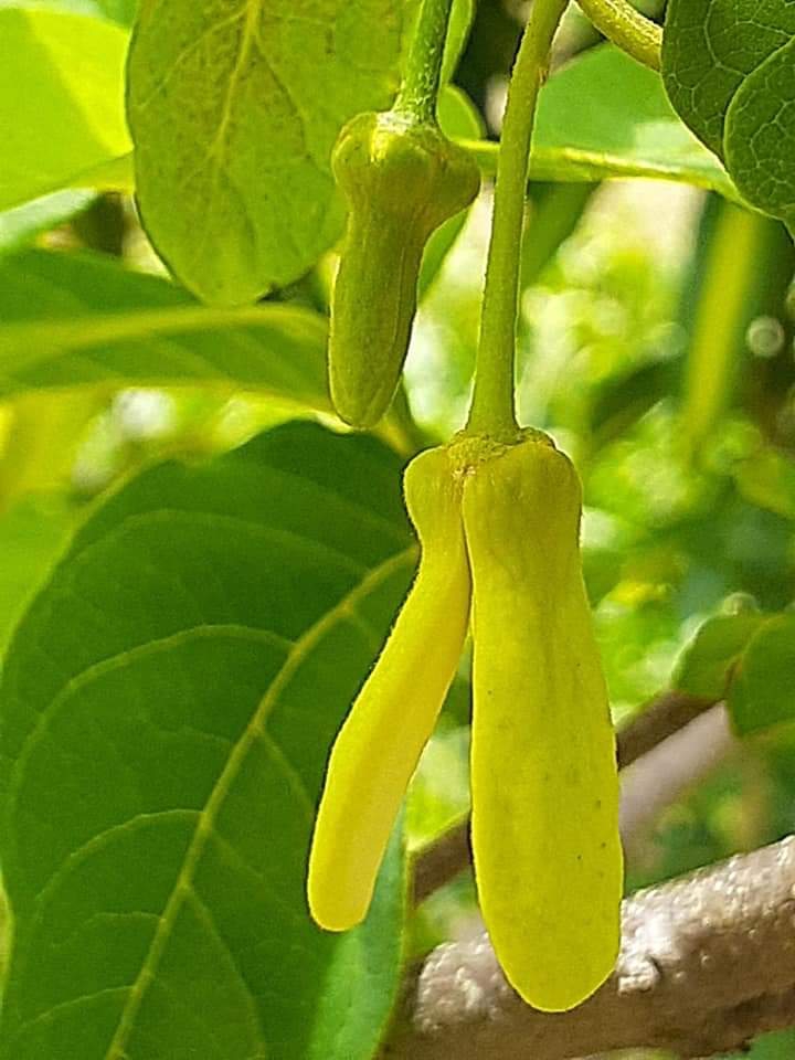 ??đàm☘️♋♋