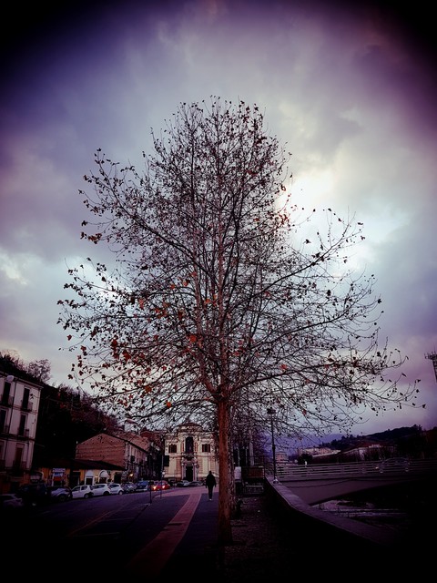 winter