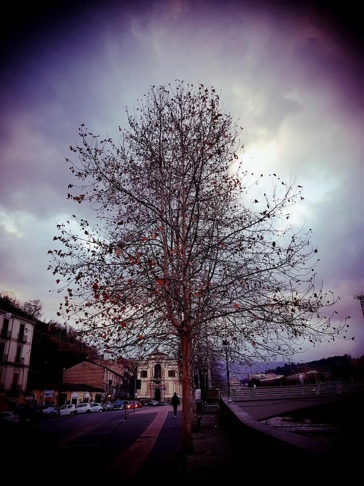 winter
