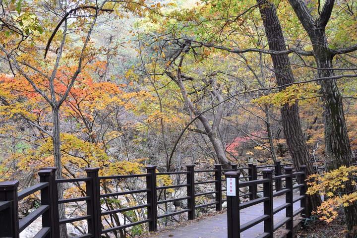 치악산이미지