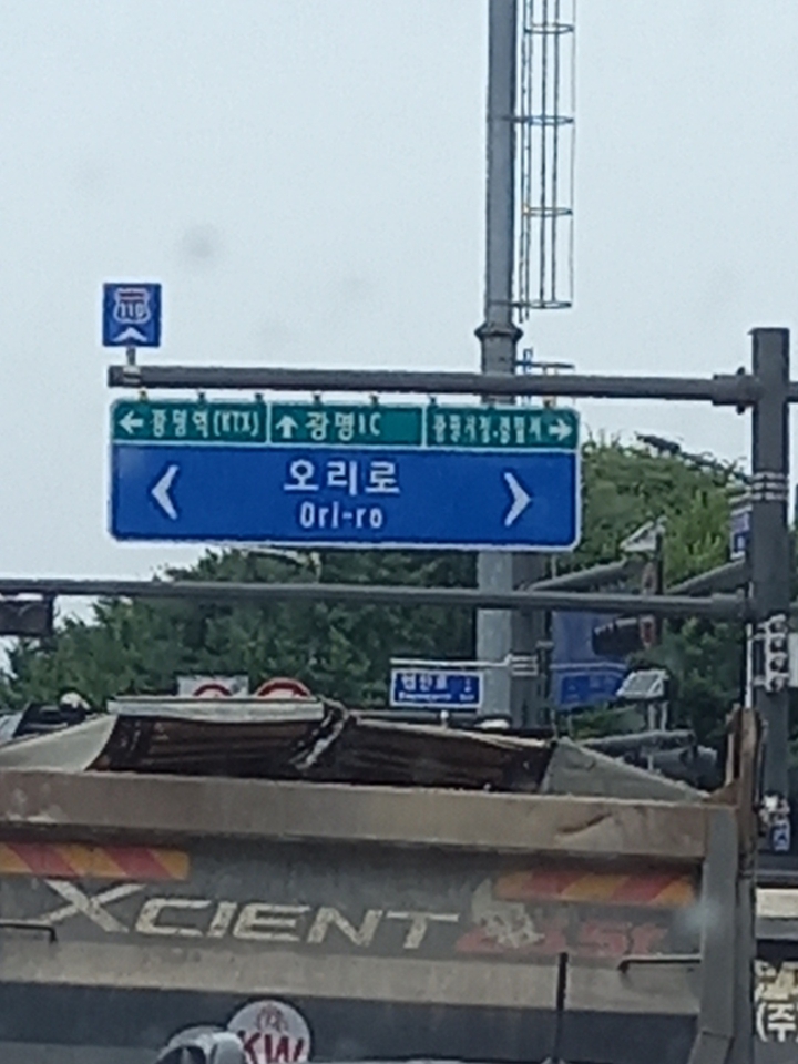 오늘도 거리를 누비는 고향친구