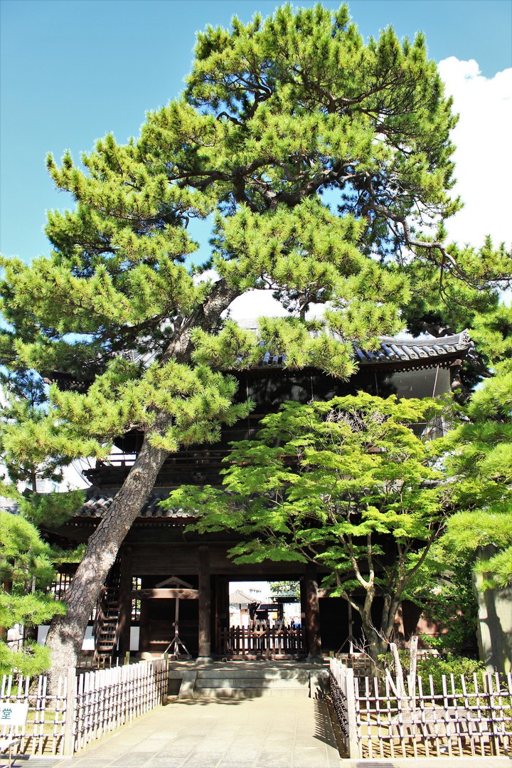 Nippon 2018