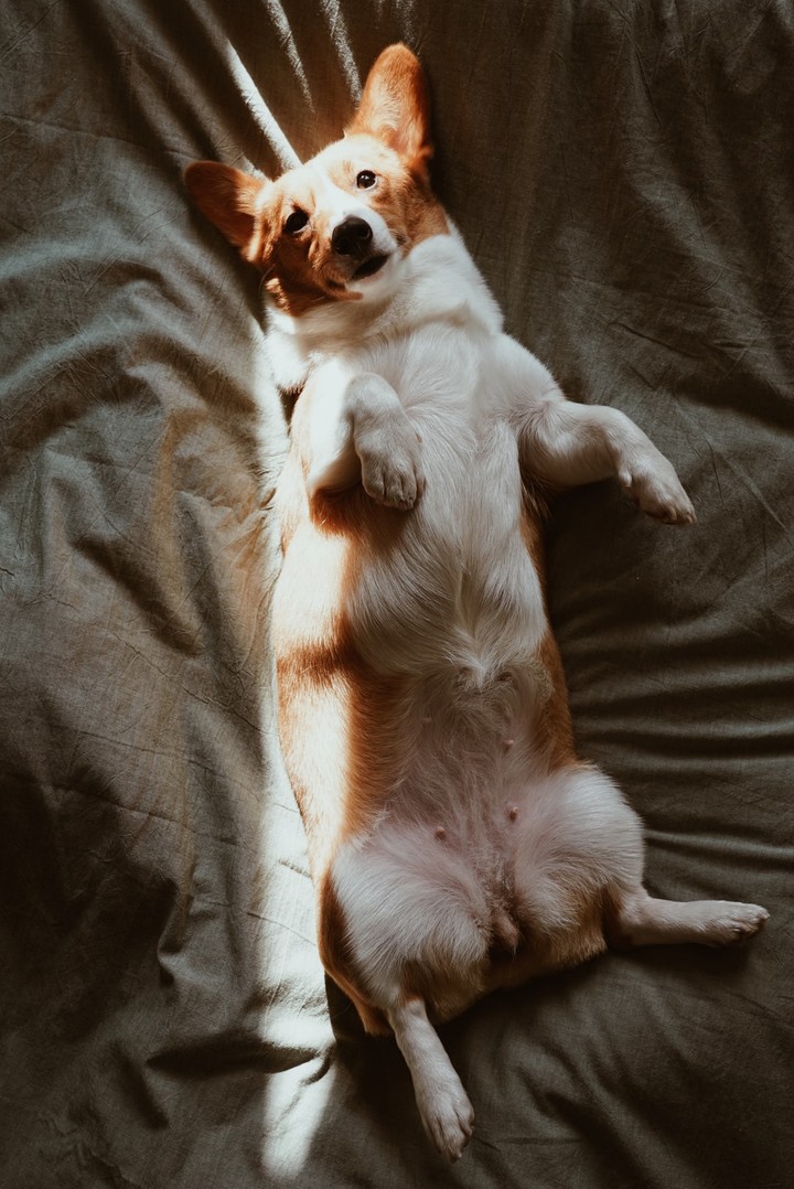 ~