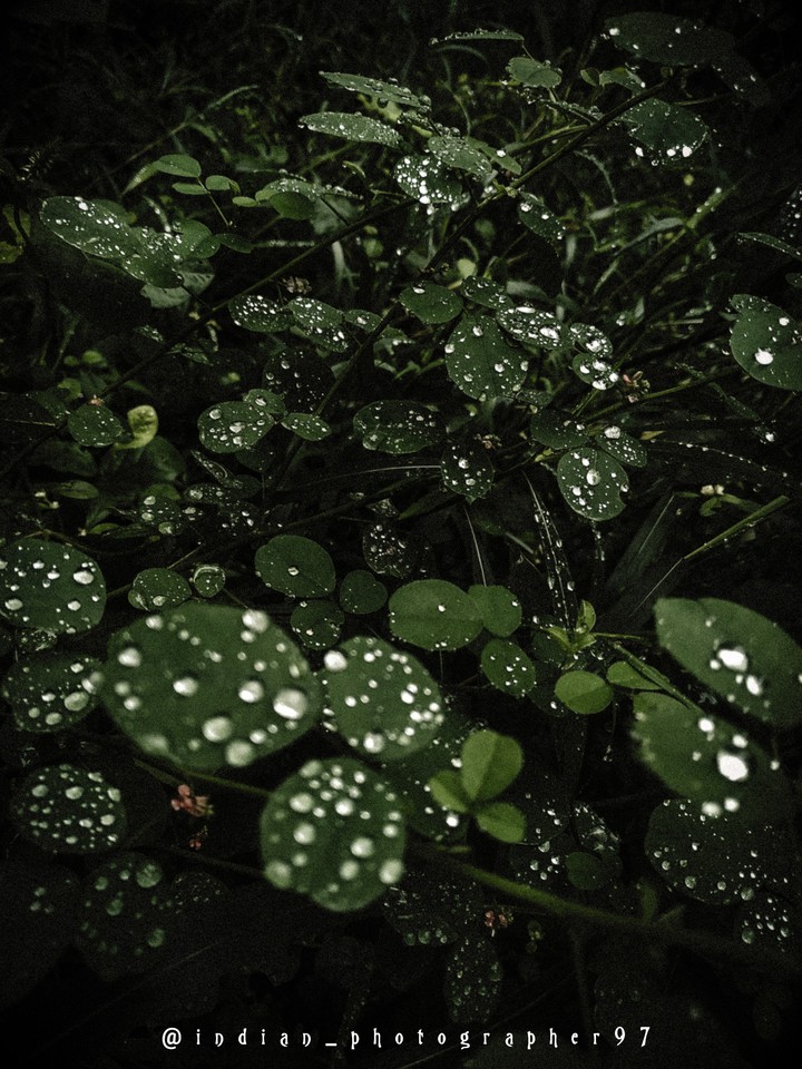 rain crystals