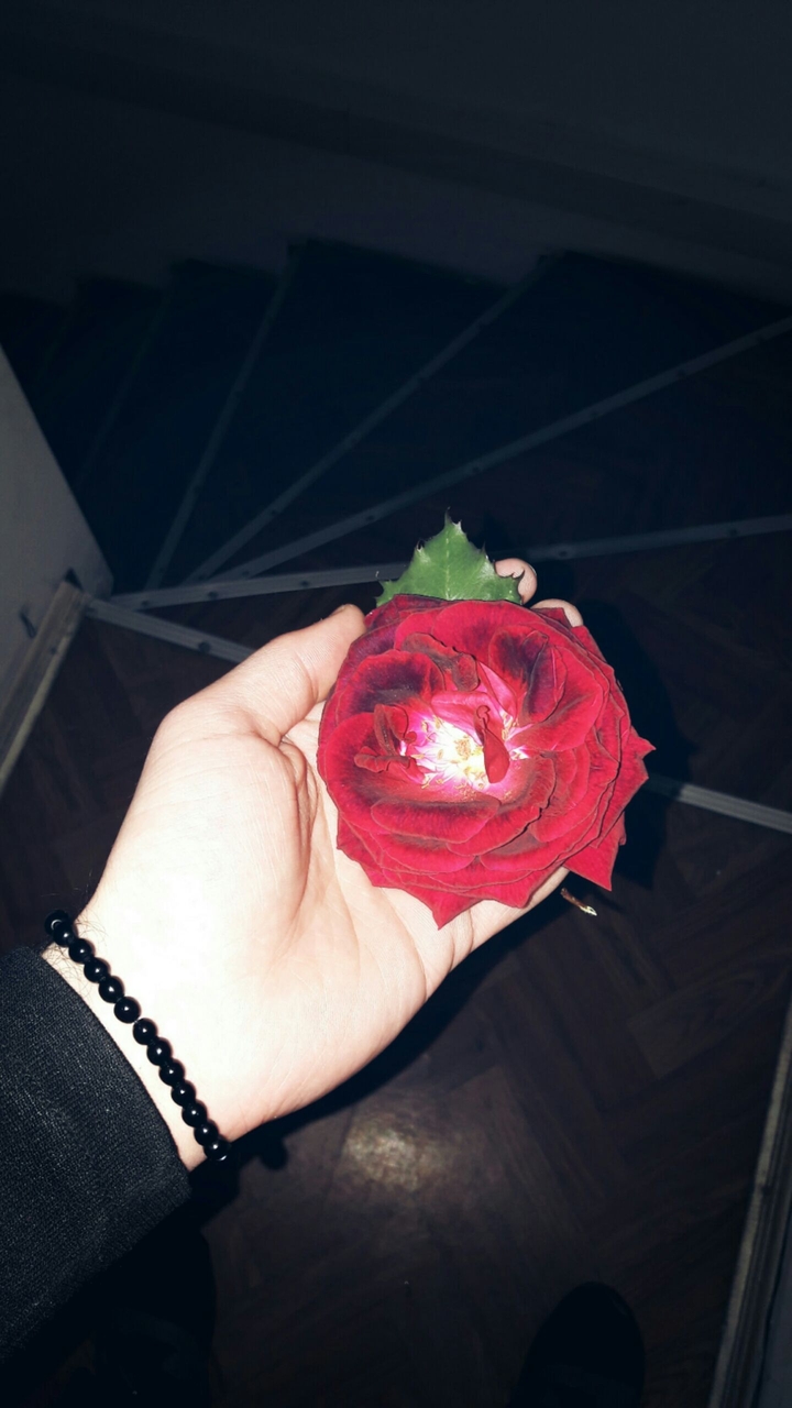 love
