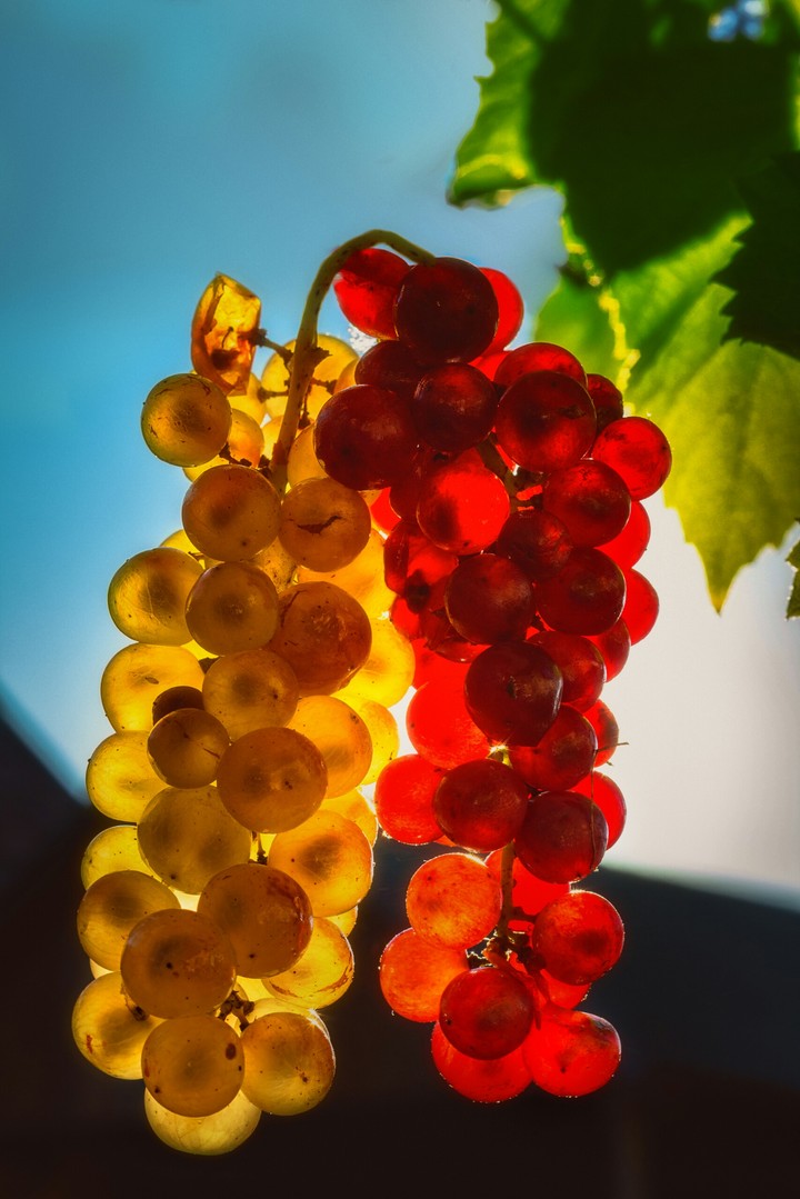 Sweet light
