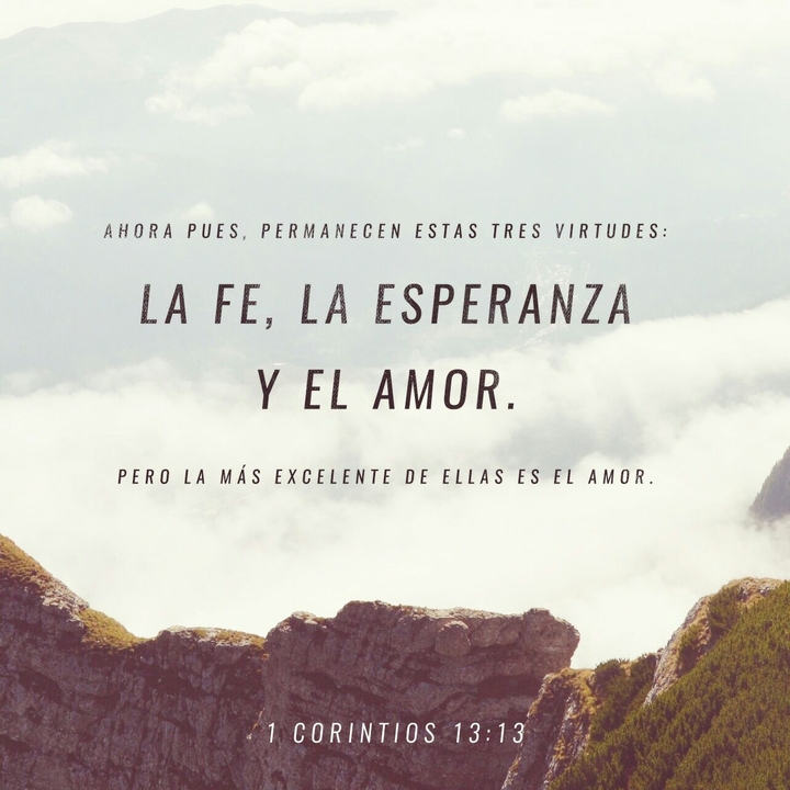Amor