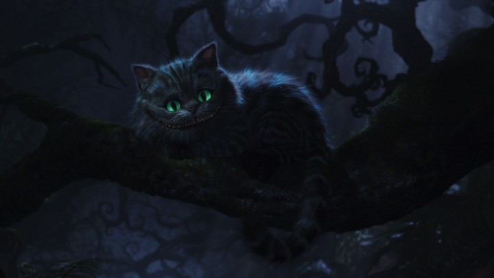 bad cat