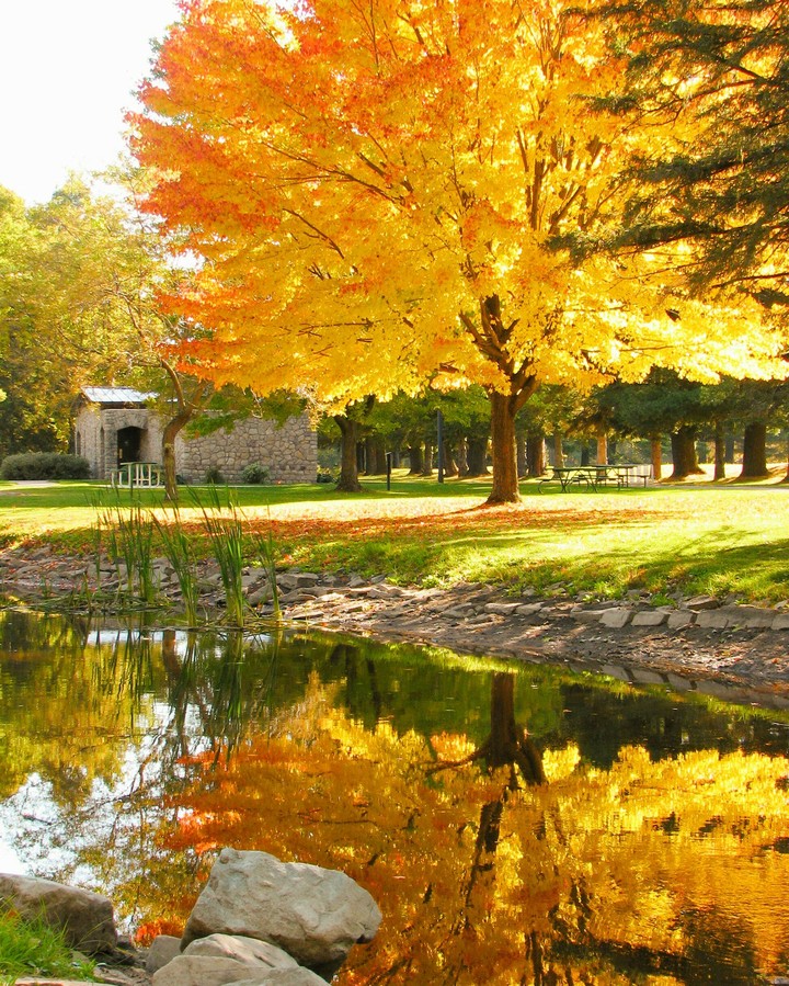 Fall Glory
