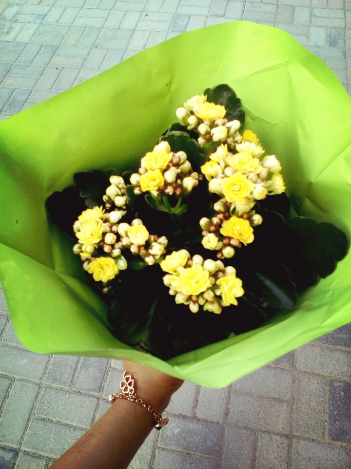 flower