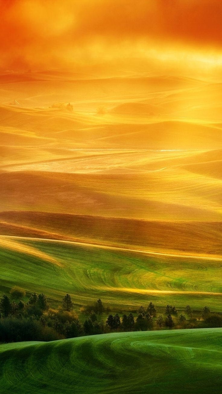 Scenery