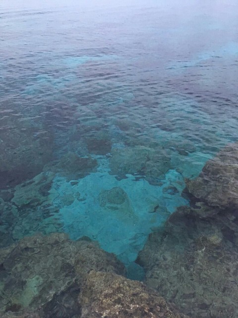 reef, ocean háttérképek