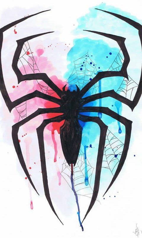 Spider