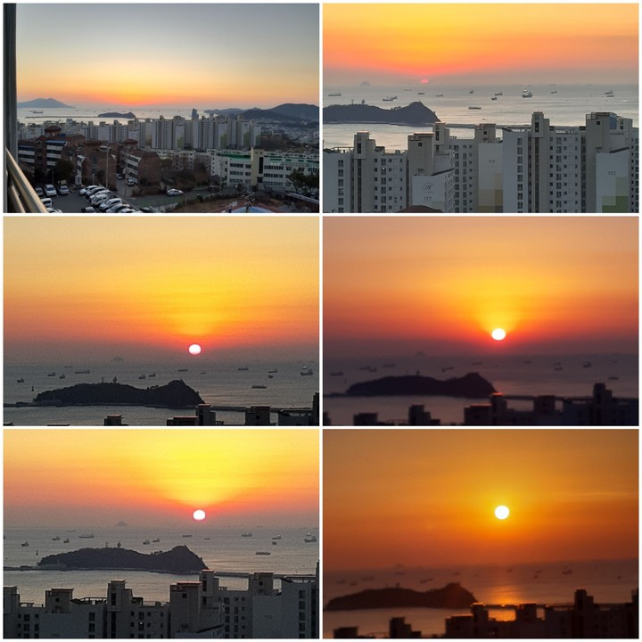2019년 기해년 일출