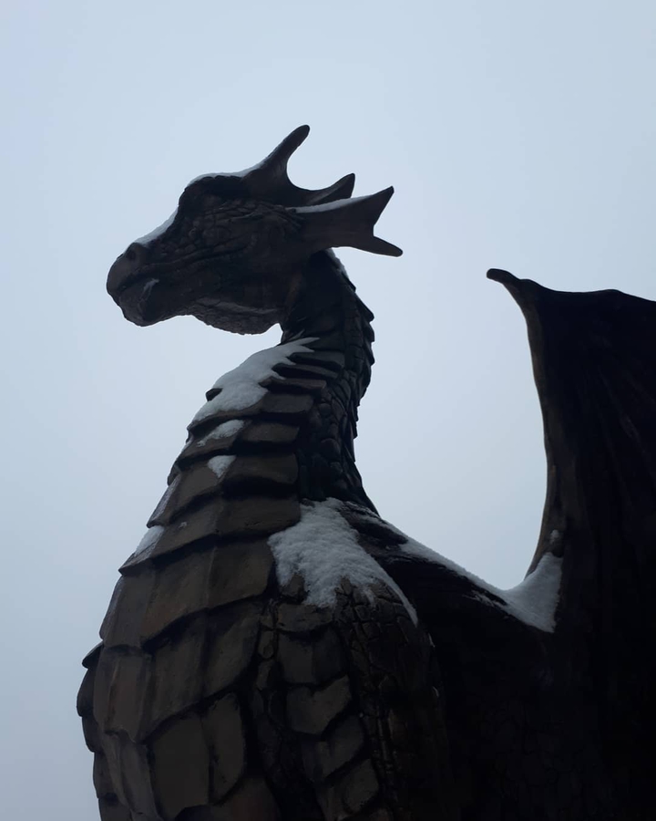 Magic dragon