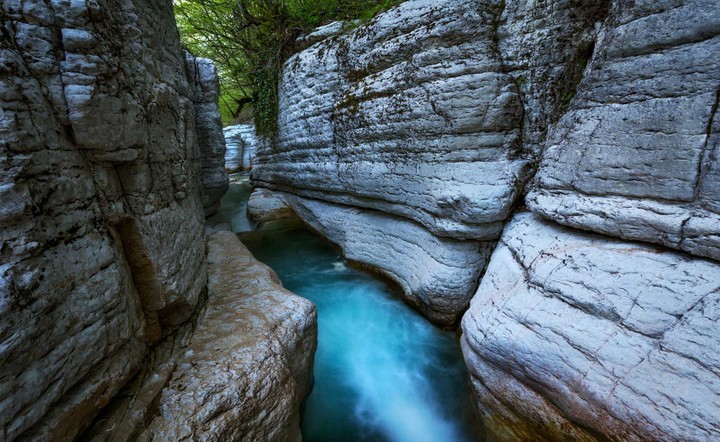nature