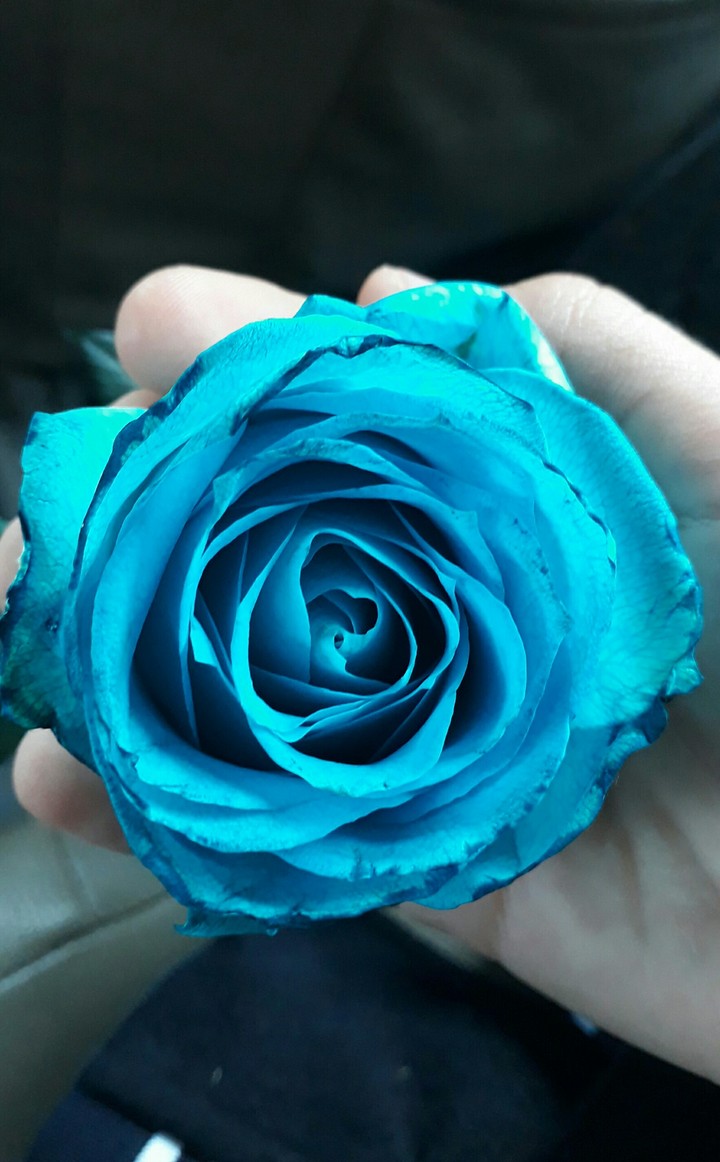 #blue #flower #samsungj7prime