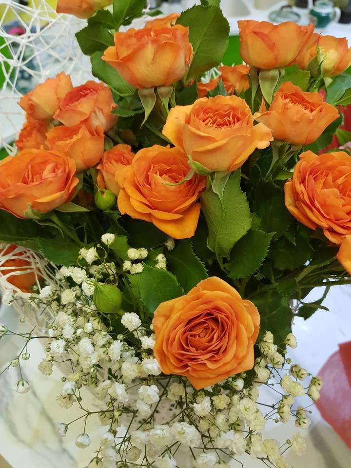 rose