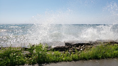 splash