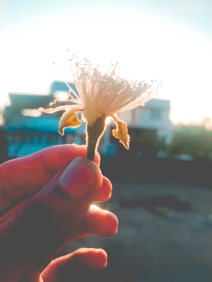 good evening