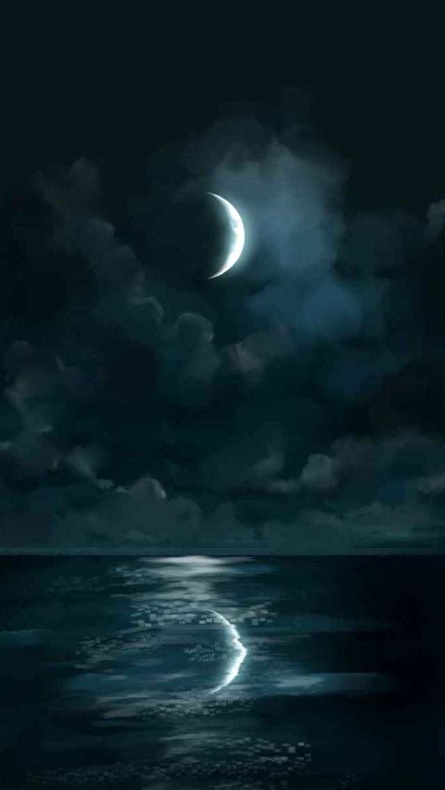 Moonlit Night