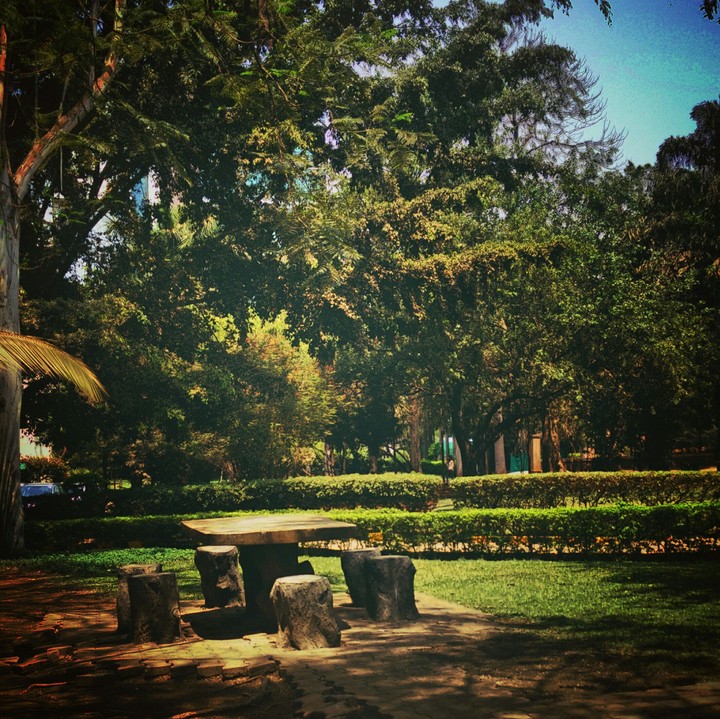 picnic spot
