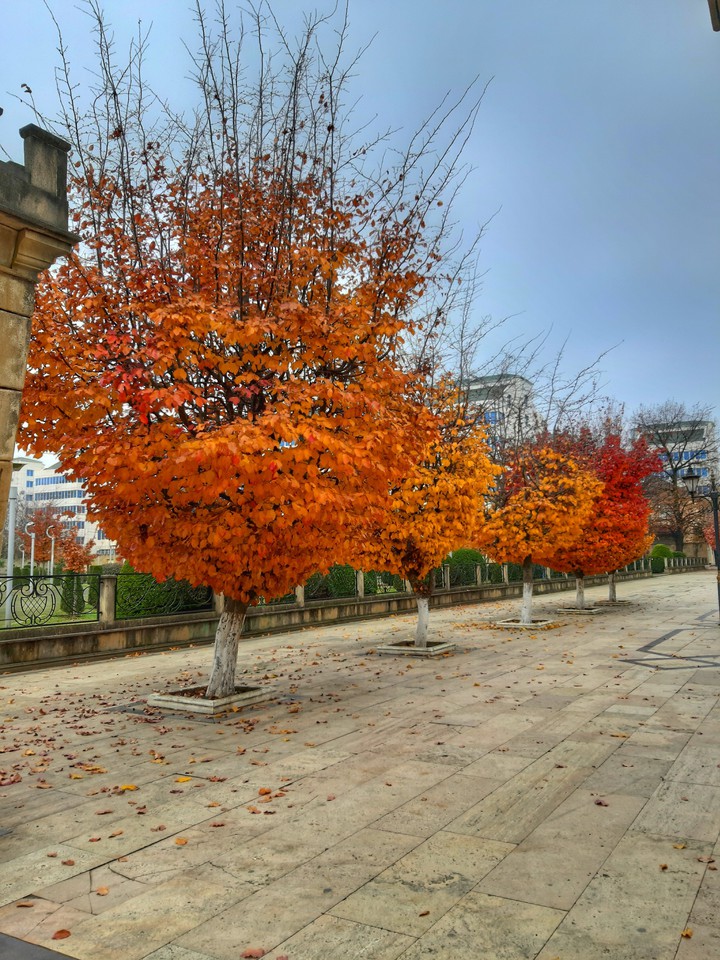 autumn